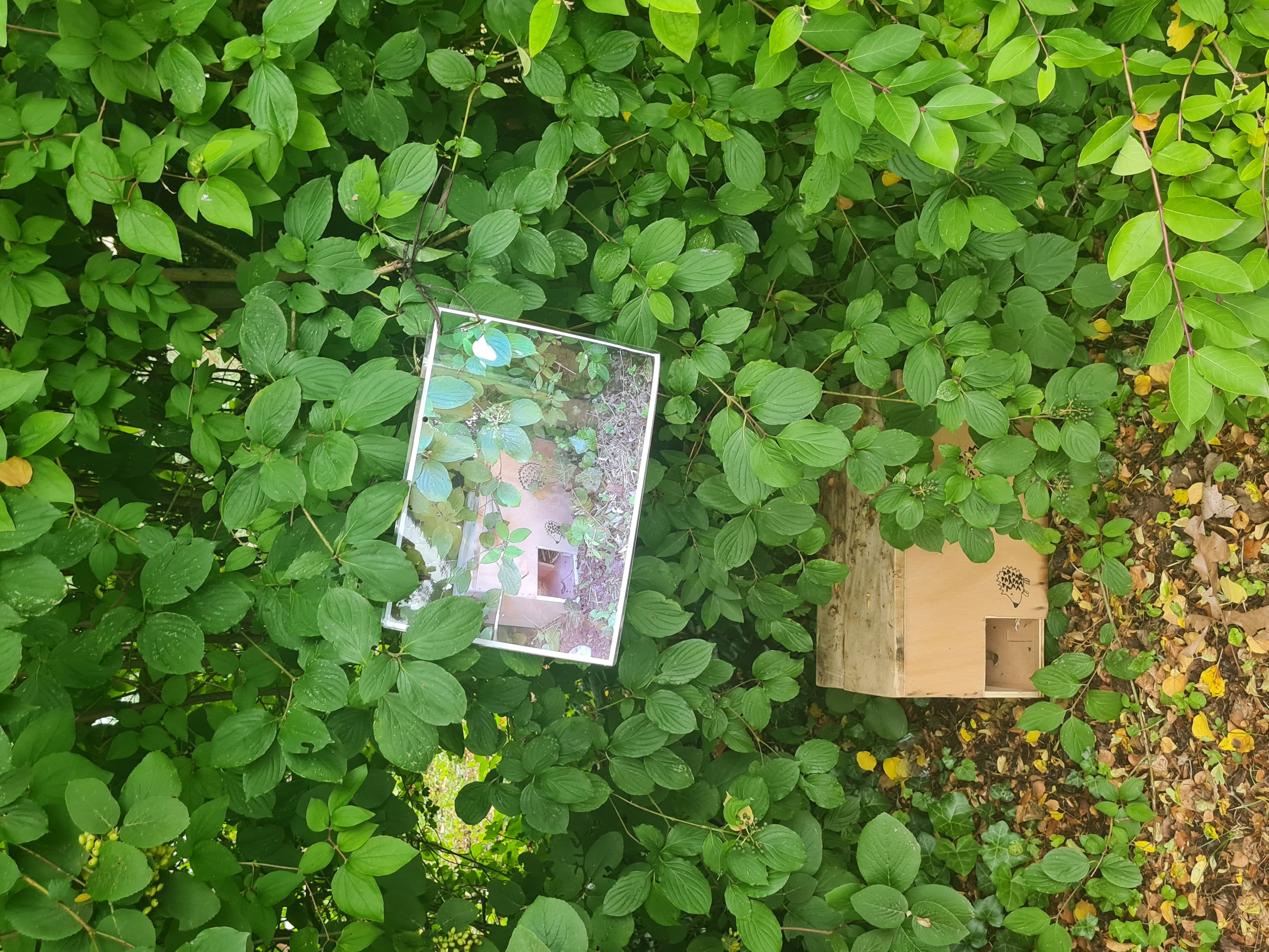 Abri &agrave; h&eacute;rissons dans le jardin de l'&eacute;cole