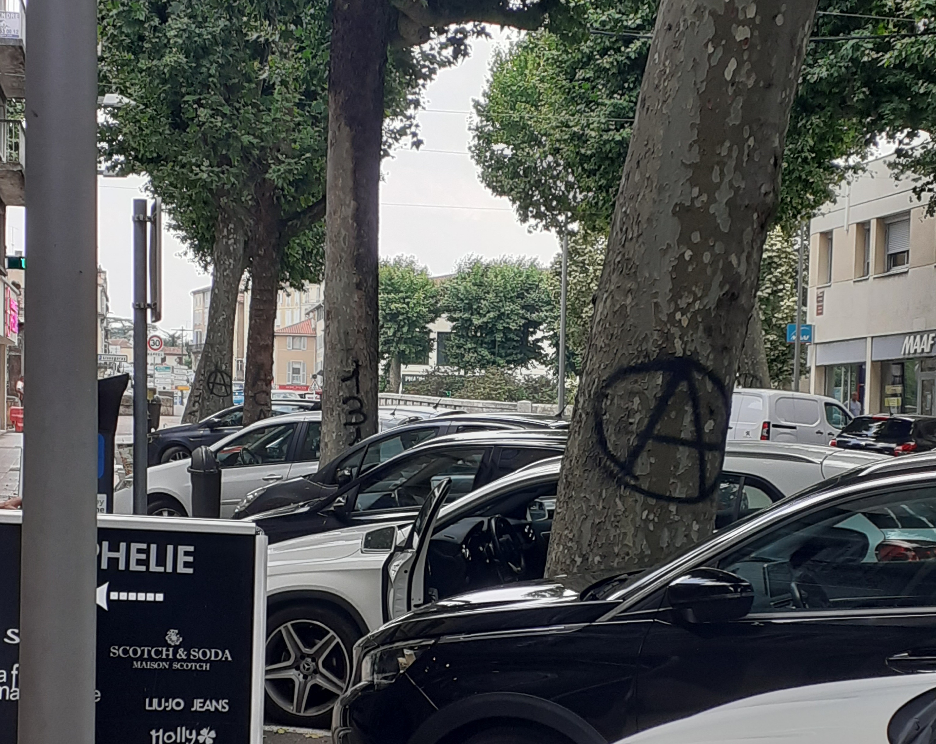 20230614_143753.jpg (1.56 MB)