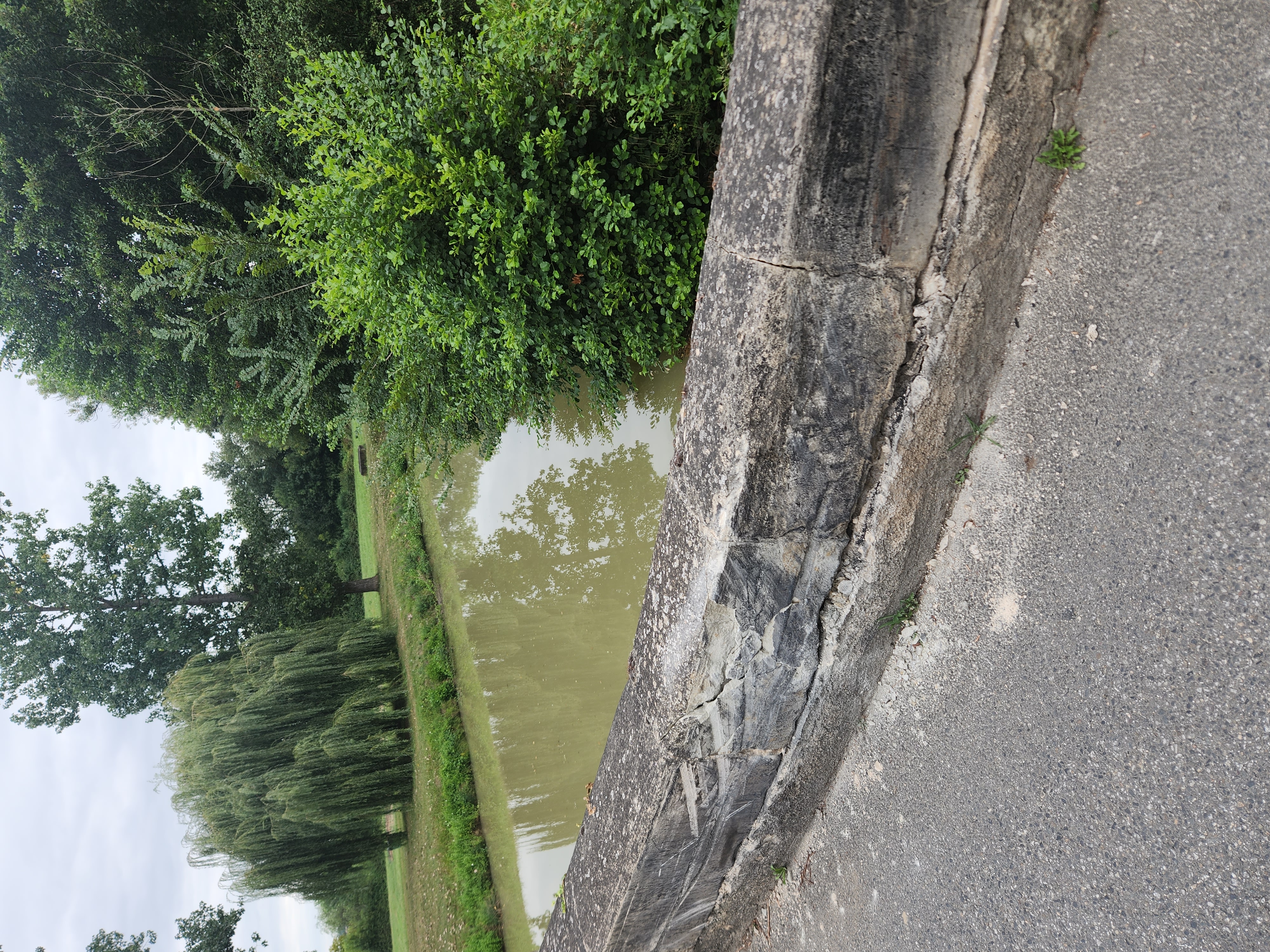 20240807_173459.jpg (5.05 MB)