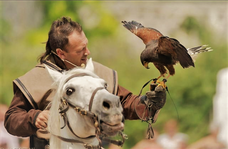 3698712.png (722 KB)