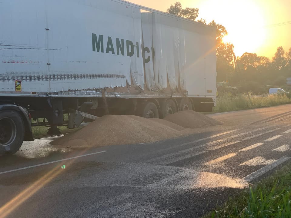 496514187_1810919046433774_8059745314605429032_n.jpg (83 KB)