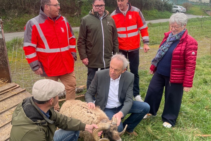 L'éco-pâturage gagne du terrain sur la ville d'Auch avec un 4e site dédié à cette pratique écologique et pédagogique