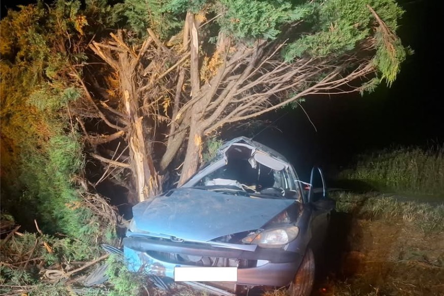 Simorre : un conducteur grièvement blessé après une collision contre un arbre