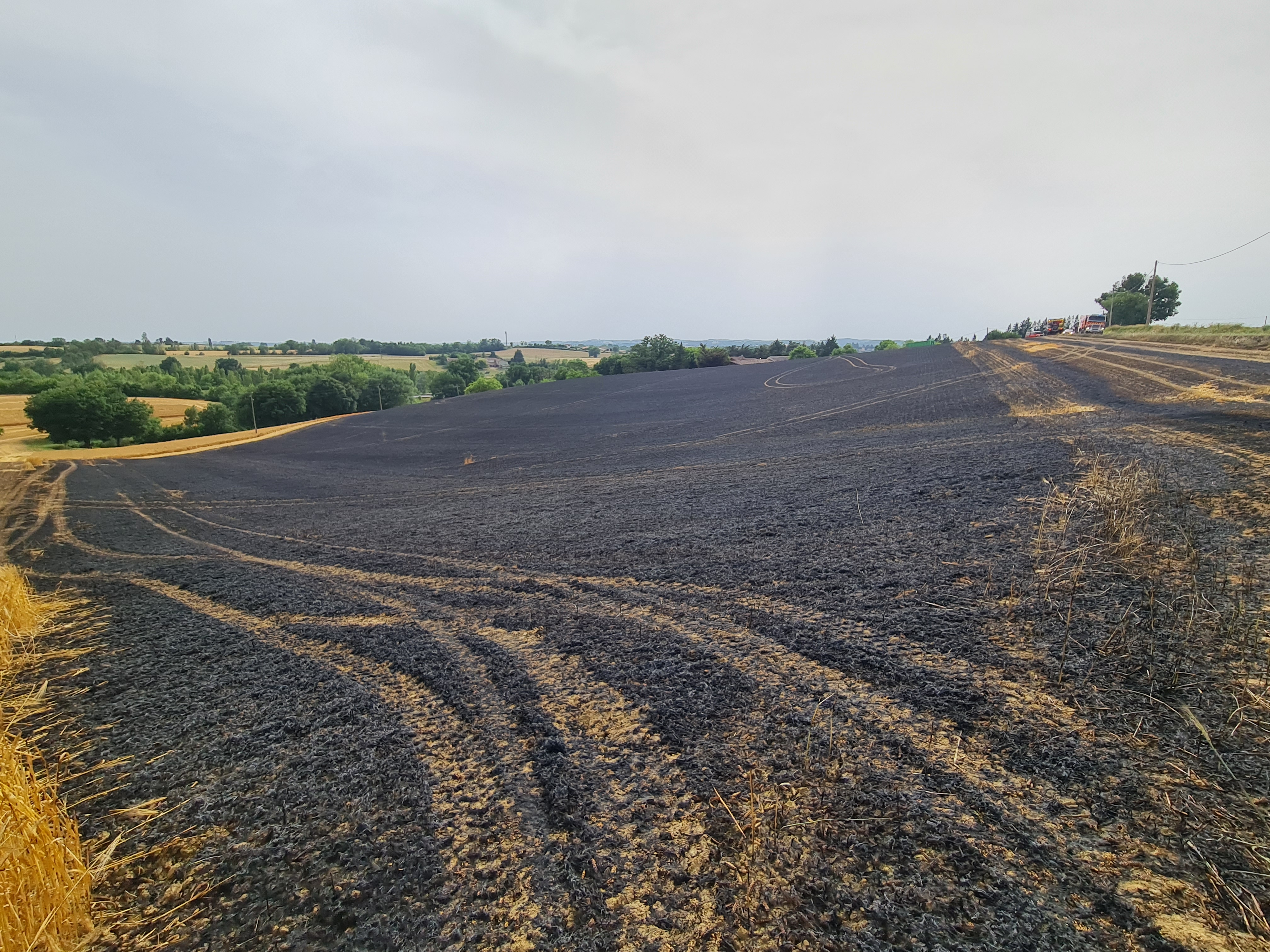 20220614_172756.jpg (3.31 MB)