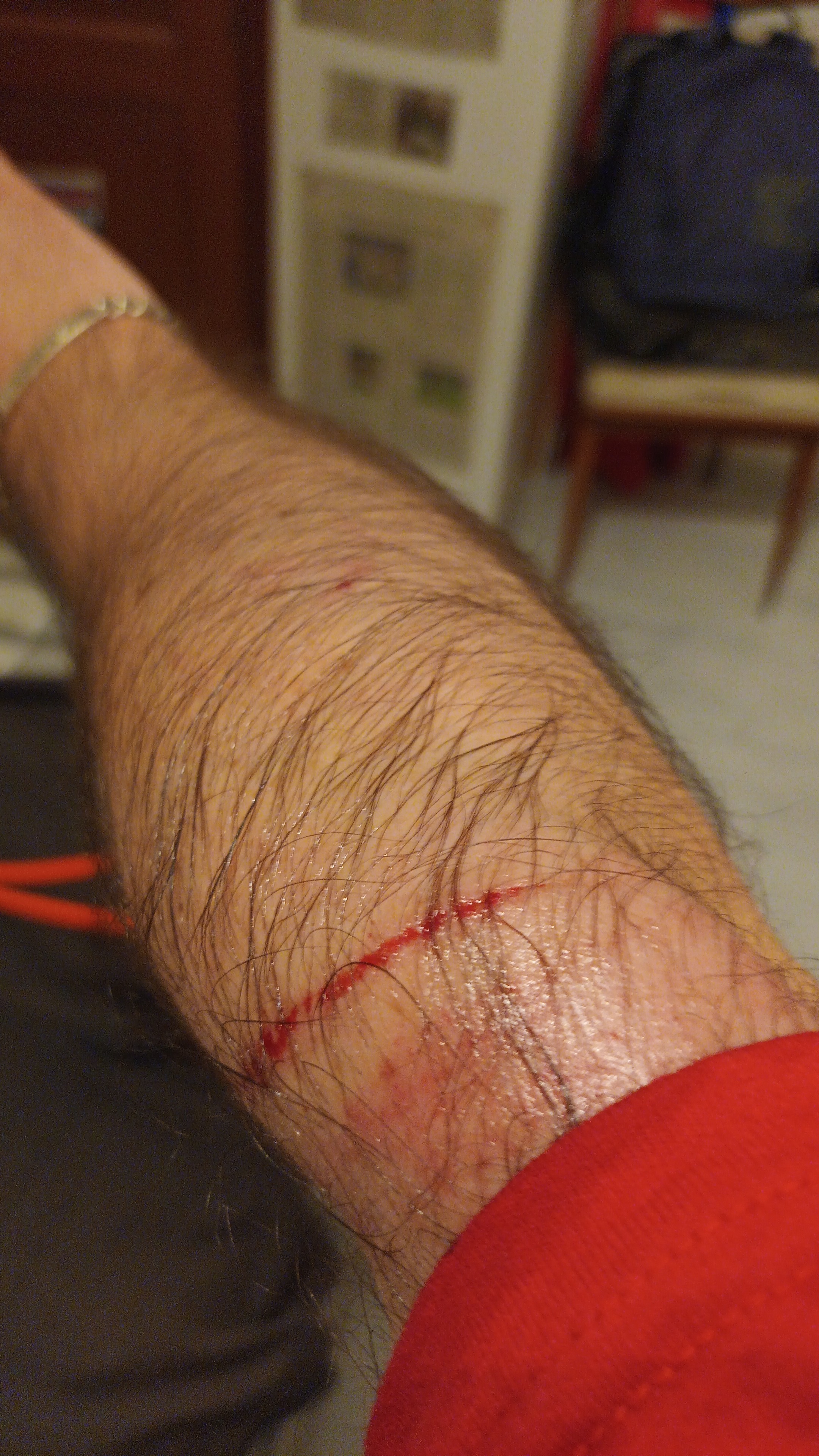 IMG-20250618-WA0008.jpeg (1.85 MB)