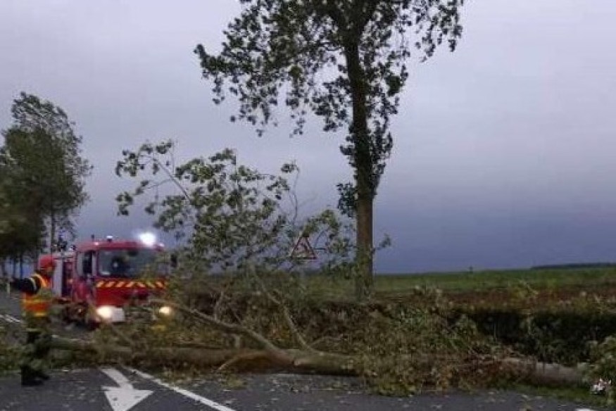 Tempête NILS - Le Tarn-et-Garonne fortement impacté