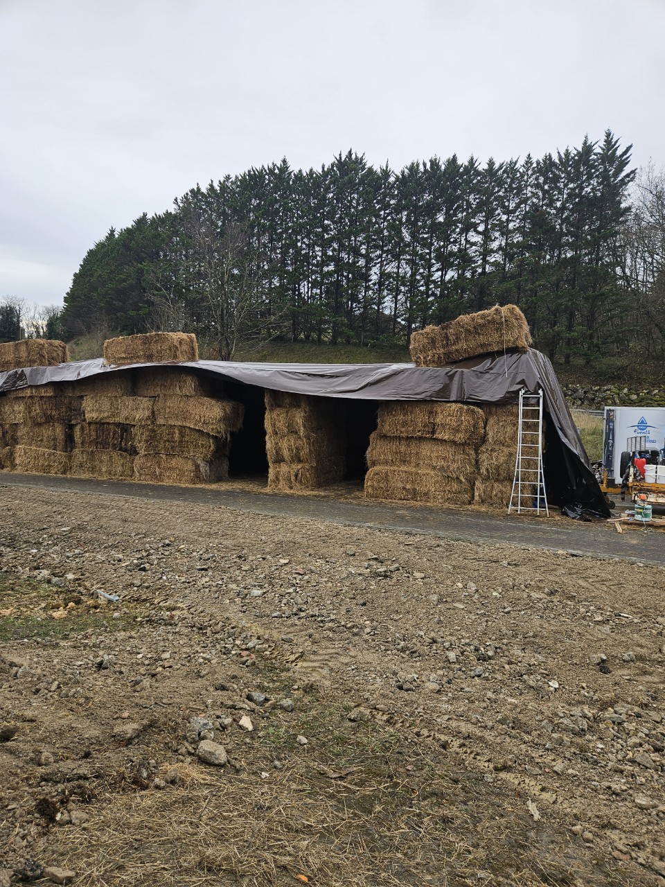 picture - 2025-12-19T180035.619.jpg (526 KB)